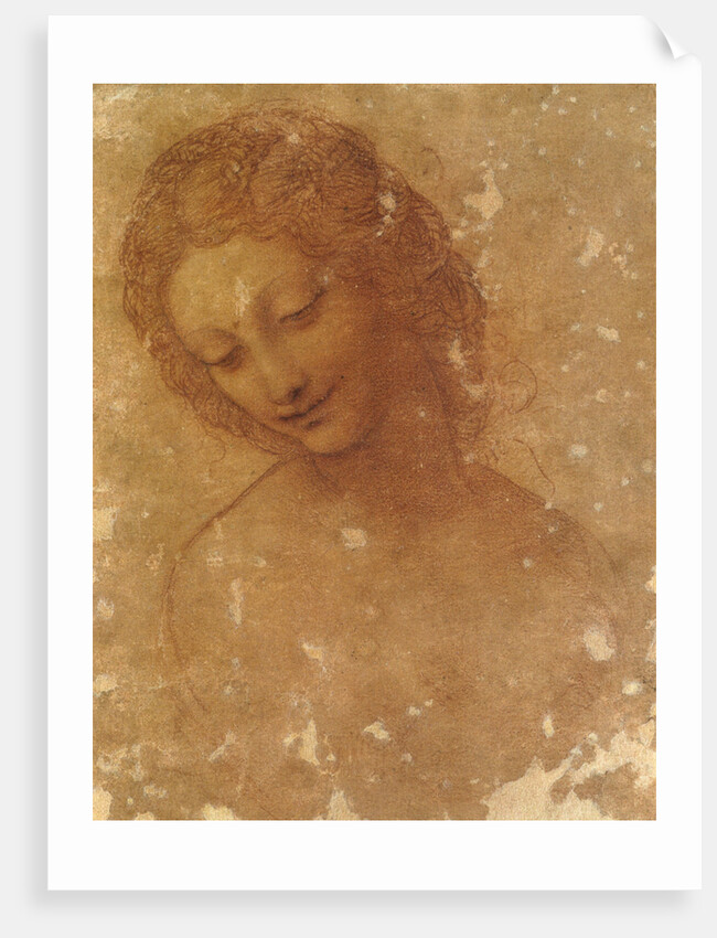 Head of Leda, c. 1510 by Anonymous
