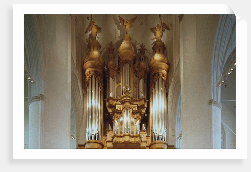 The Organ in the St. Catherines Church in Hamburg by Anonymous