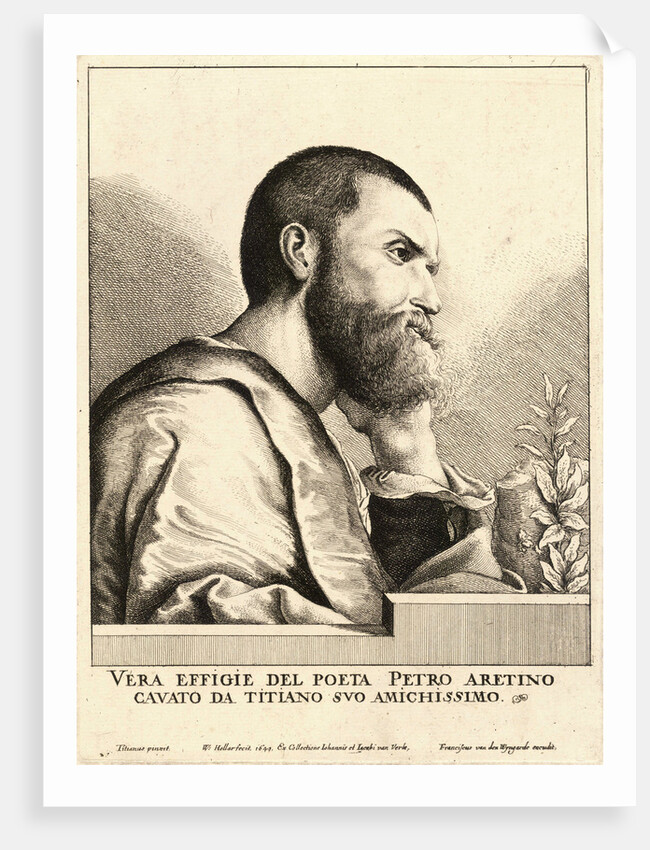 Pietro Aretino by Anonymous