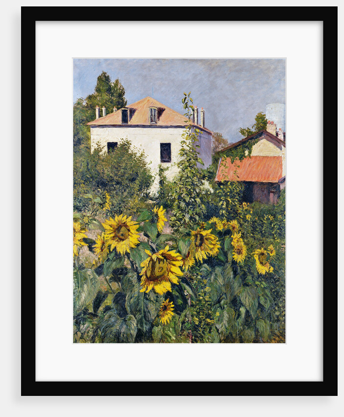 Sunflowers, Garden at Petit Gennevilliers, ca 1885 by Anonymous