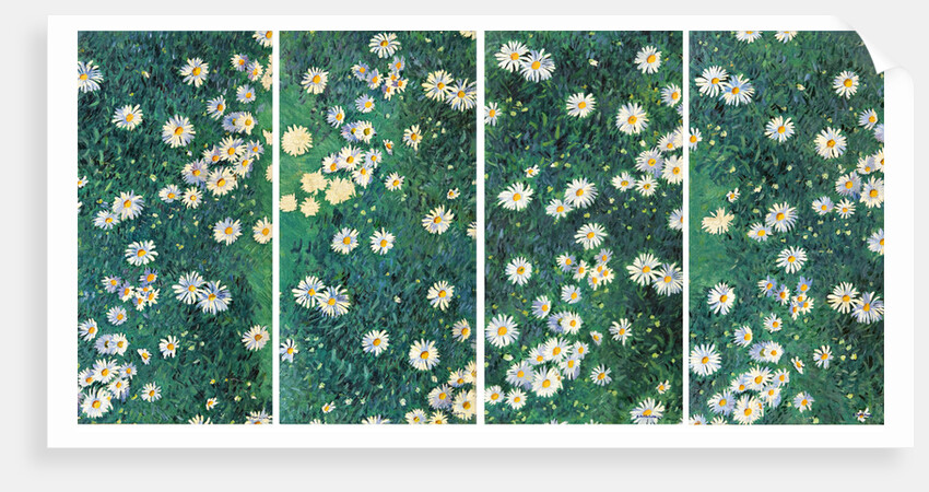 Daisies (Bed of Daisies), c. 1892-1893 by Anonymous