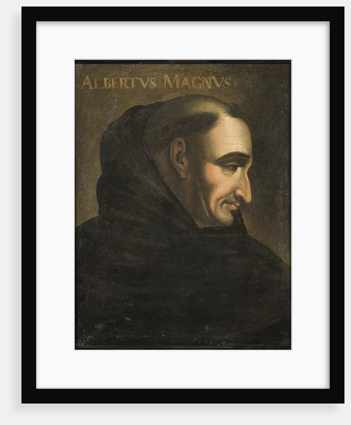 Albertus Magnus by Anonymous