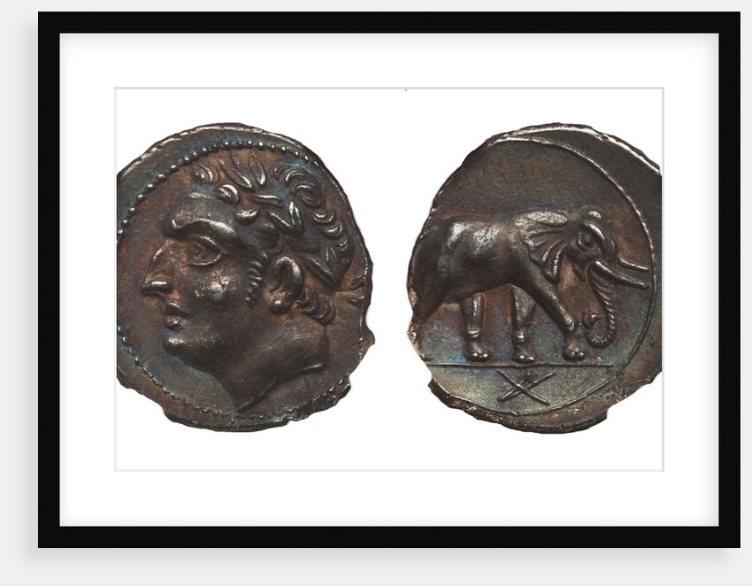 Coin of Hannibal Barca. Carthage. (Obverse: Hannibal, Reverse: Elephant), ca. 213-210 BC by Anonymous