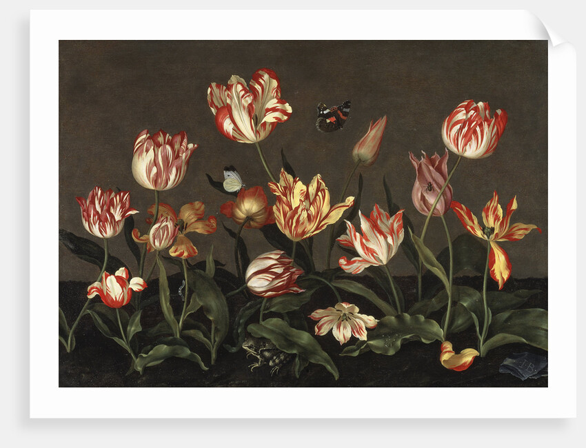 Still Life with Tulips by Anonymous