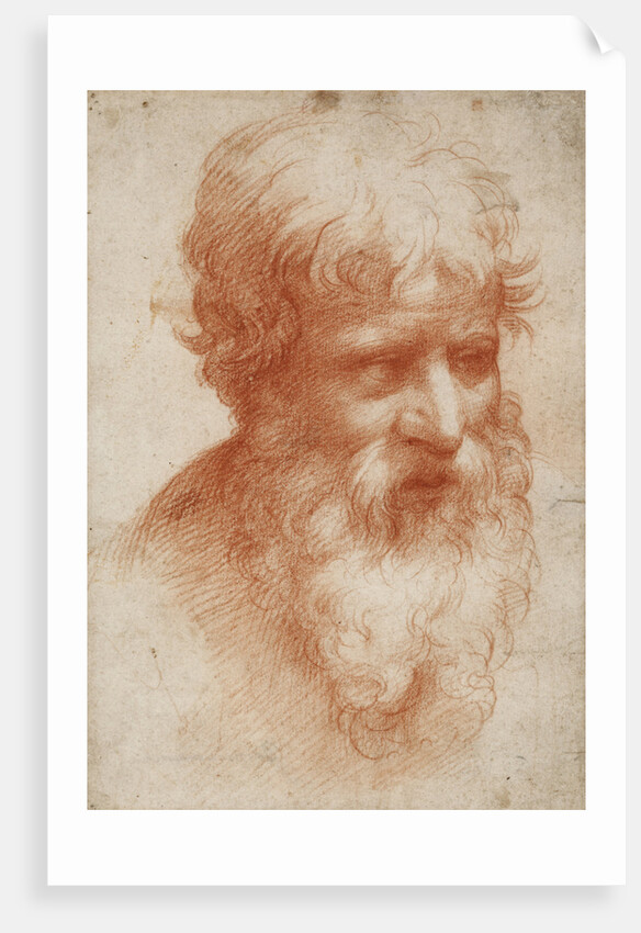 Bearded mans head, c. 1525 by Anonymous