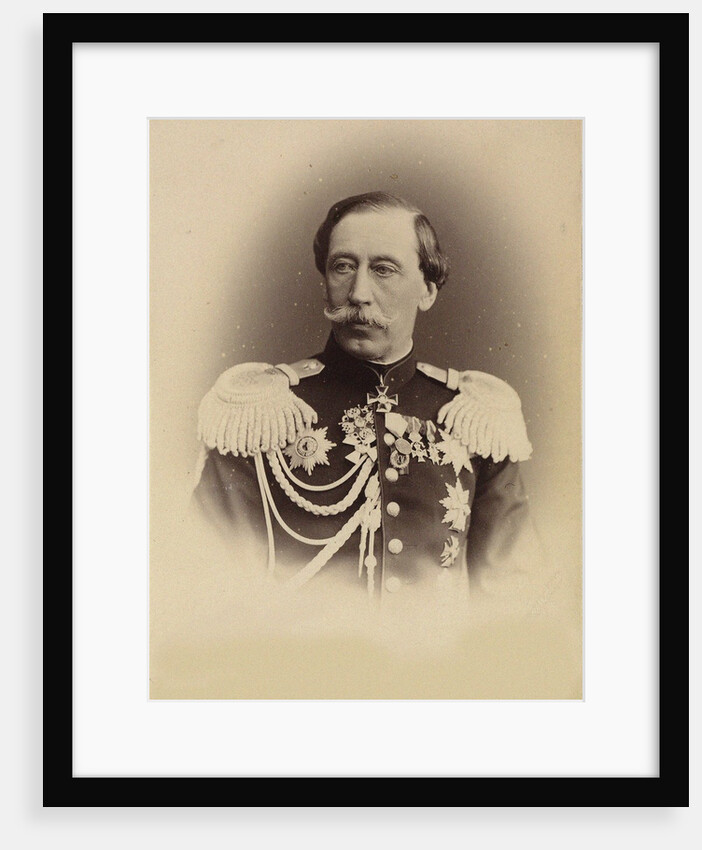 Portrait of Prince Vladimir Ivanovich Baryatinsky, 1874 by Anonymous