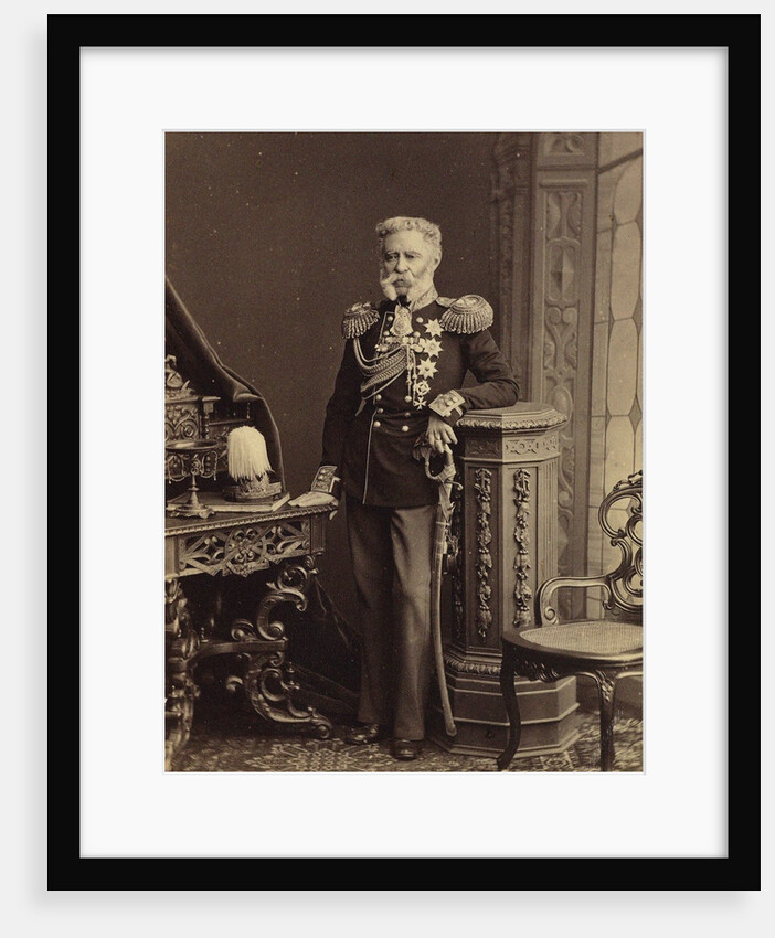 Portrait of Count Vladimir Fyodorovich Adlerberg, 1874 by Anonymous