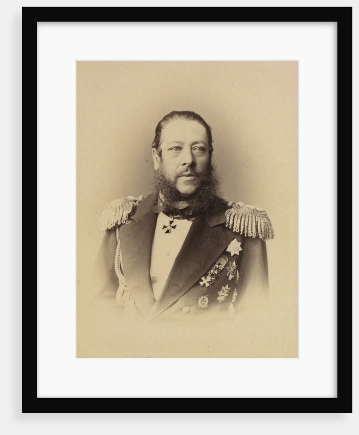 Portrait of Admiral Nikolay Karlovich Krabbe, 1873 by Anonymous