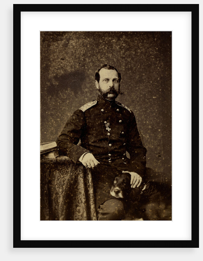Portrait of Emperor Alexander II, 1873 by Anonymous