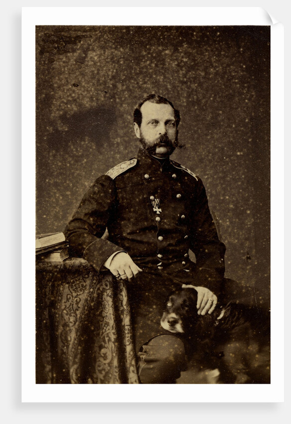 Portrait of Emperor Alexander II, 1873 by Anonymous