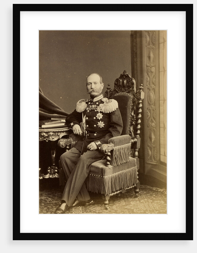 Portrait of General Fyodor Fyodorovich Trepov, c. 1874 by Anonymous