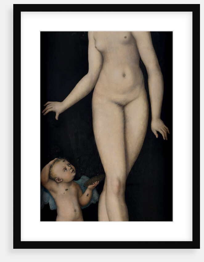 Venus with Cupid the Honey Thief, after 1537 by Anonymous
