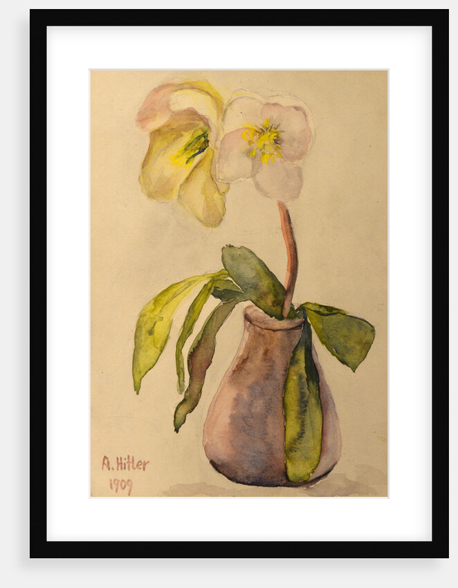 Flower still life, 1909 by Anonymous