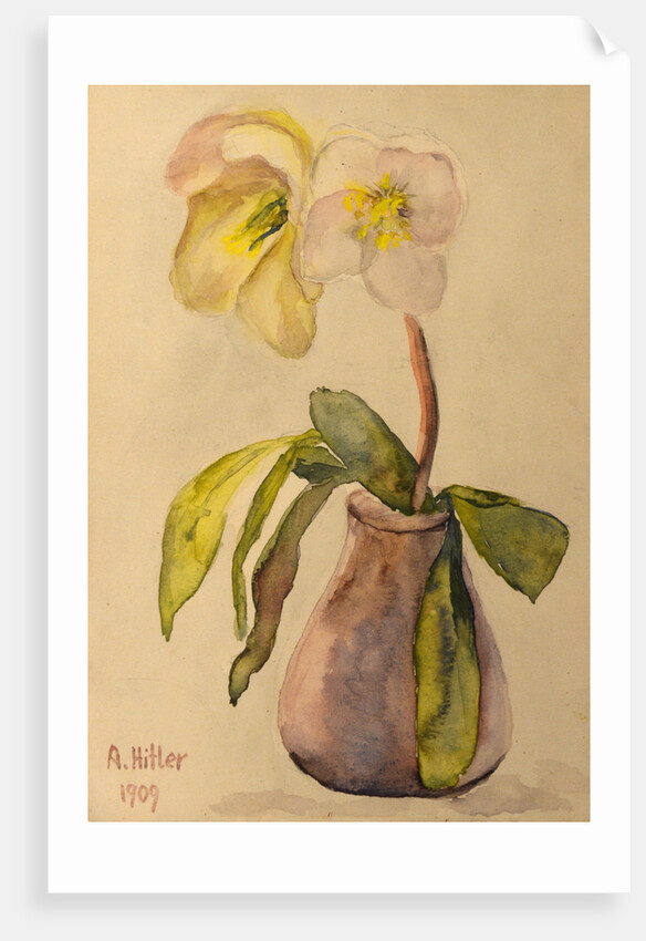 Flower still life, 1909 by Anonymous