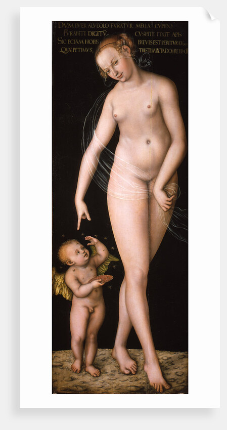 Venus with Cupid the Honey Thief, after 1537 by Anonymous