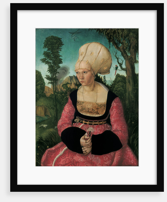 Portrait of Anna Cuspinian, 1502 by Anonymous