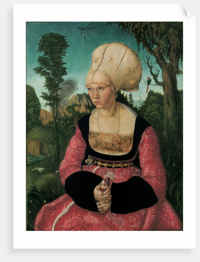 Portrait of Anna Cuspinian, 1502 by Anonymous