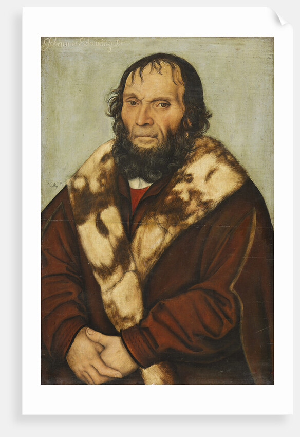 Portrait of Johannes Scheyring, 1529 by Anonymous