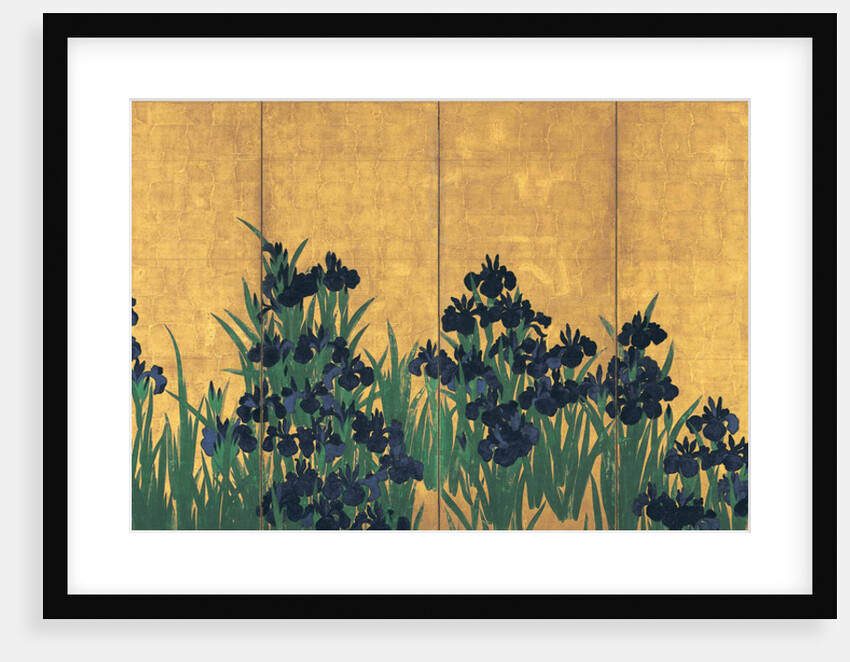Irises, 18th century by Anonymous