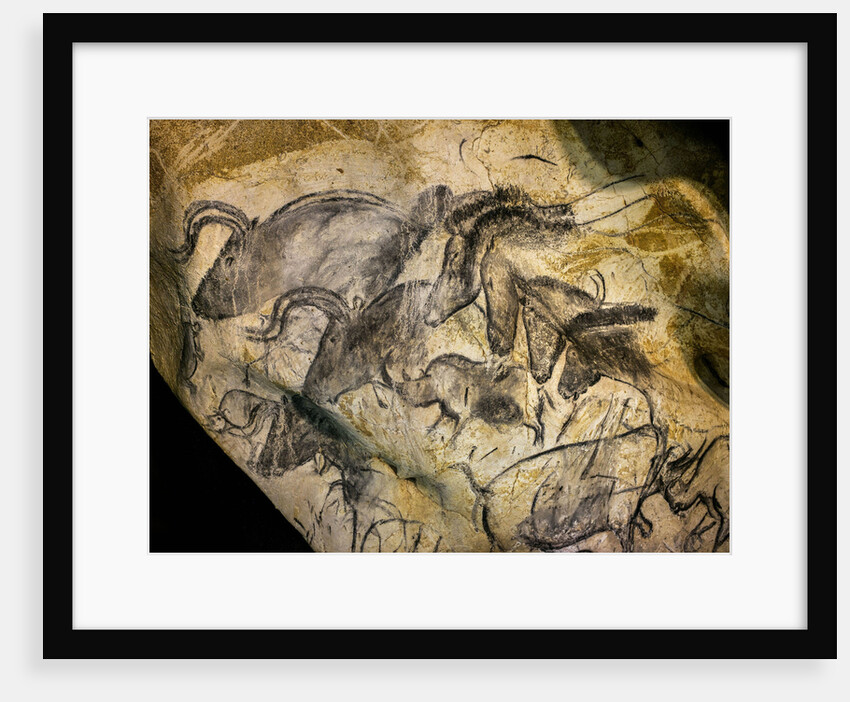 Painting in the Chauvet cave, 32,000-30,000 BC by Anonymous