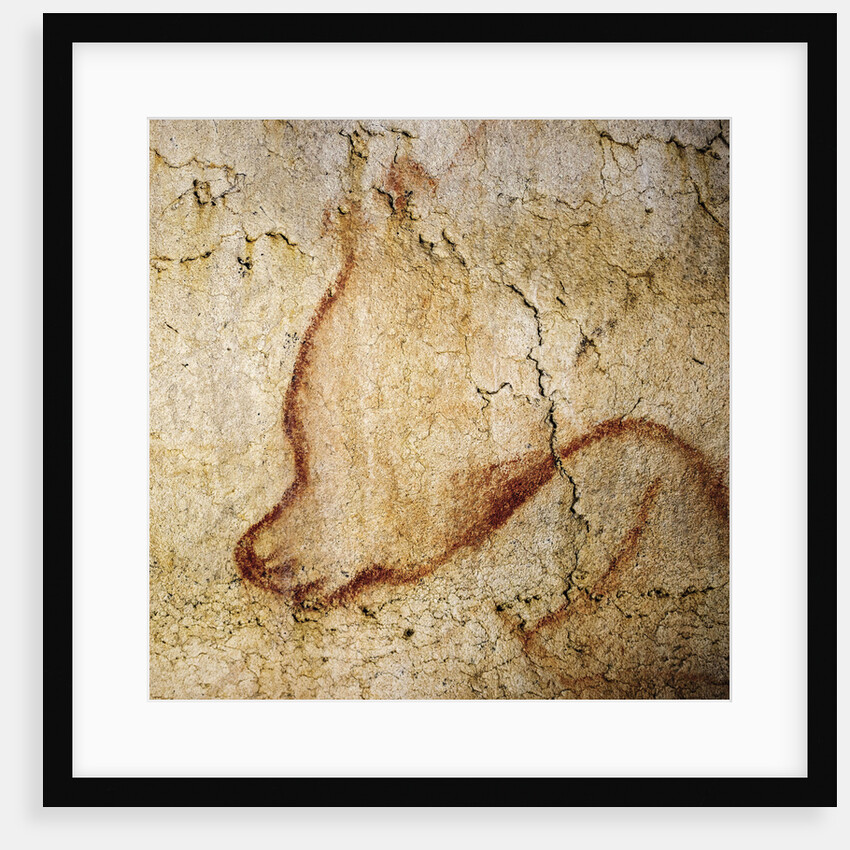 Painting in the Chauvet cave, 32,000-30,000 BC by Anonymous