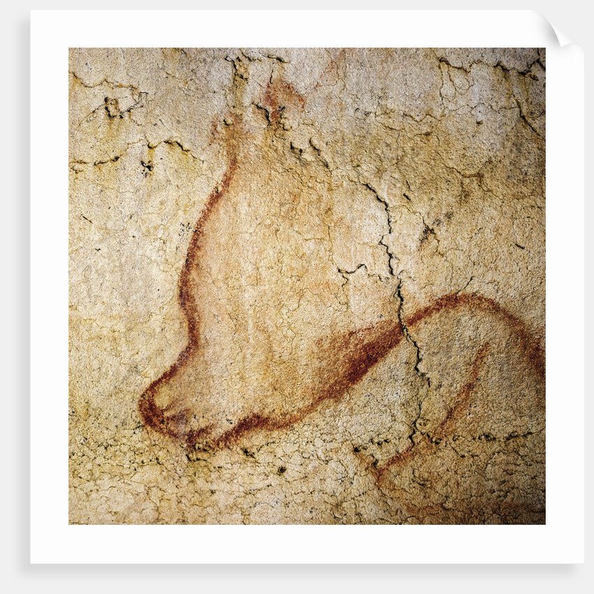 Painting in the Chauvet cave, 32,000-30,000 BC by Anonymous