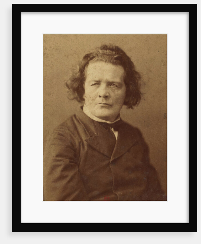 Portrait of the composer Anton Rubinstein by Anonymous