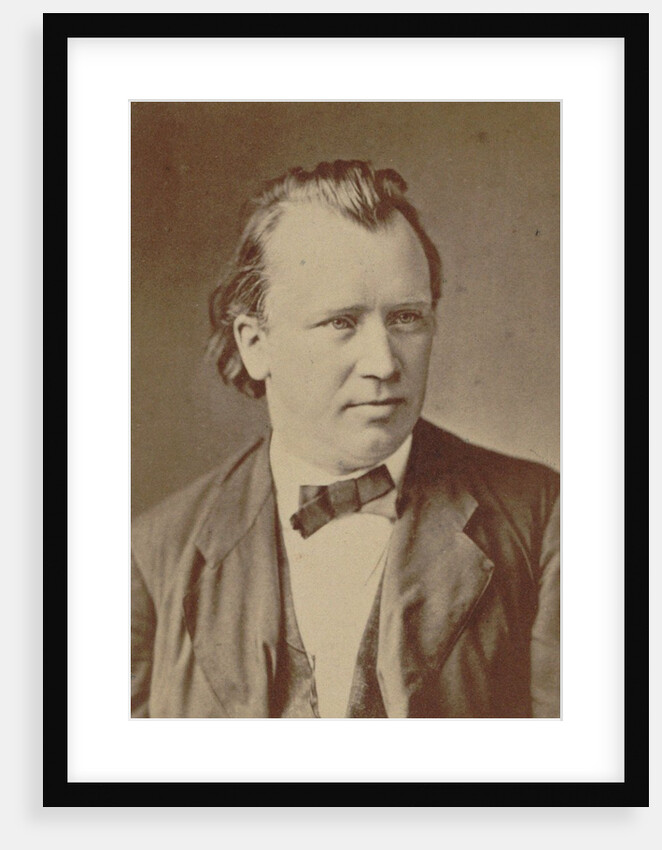 Portrait of the composer Johannes Brahms, 1875 by Anonymous