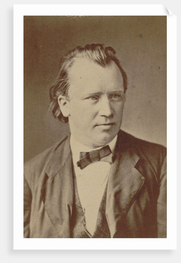 Portrait of the composer Johannes Brahms, 1875 by Anonymous