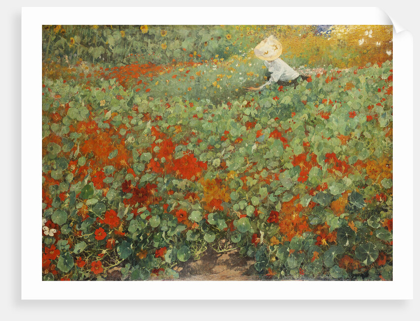 The garden, 1893 by Anonymous