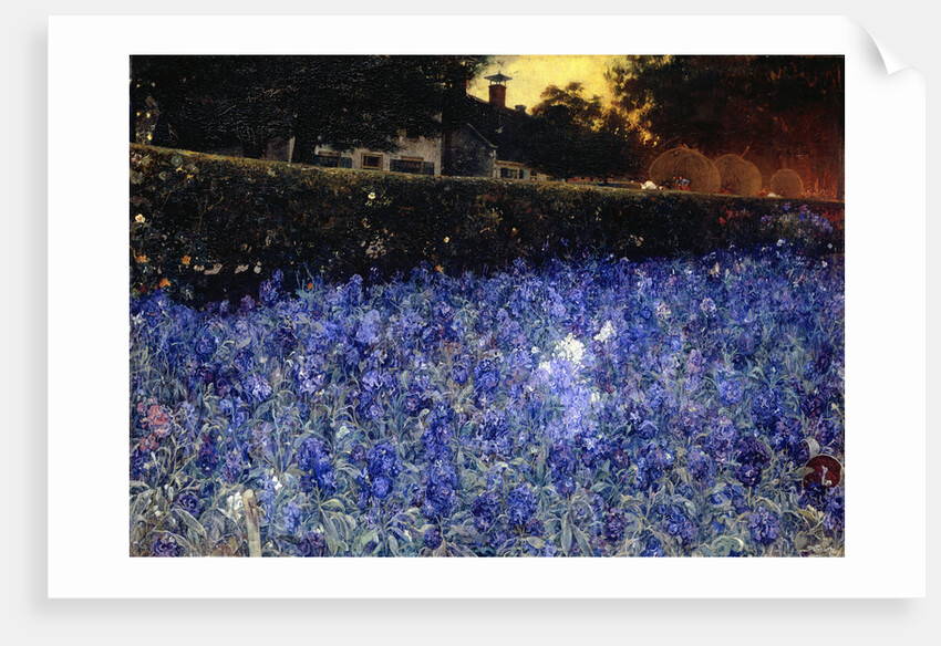 Summer Luxuriance, Between 1890 and 1910 by Anonymous