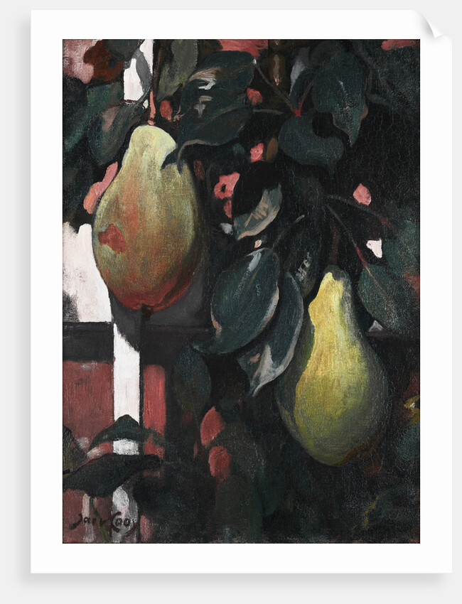Pears, 1920 by Anonymous