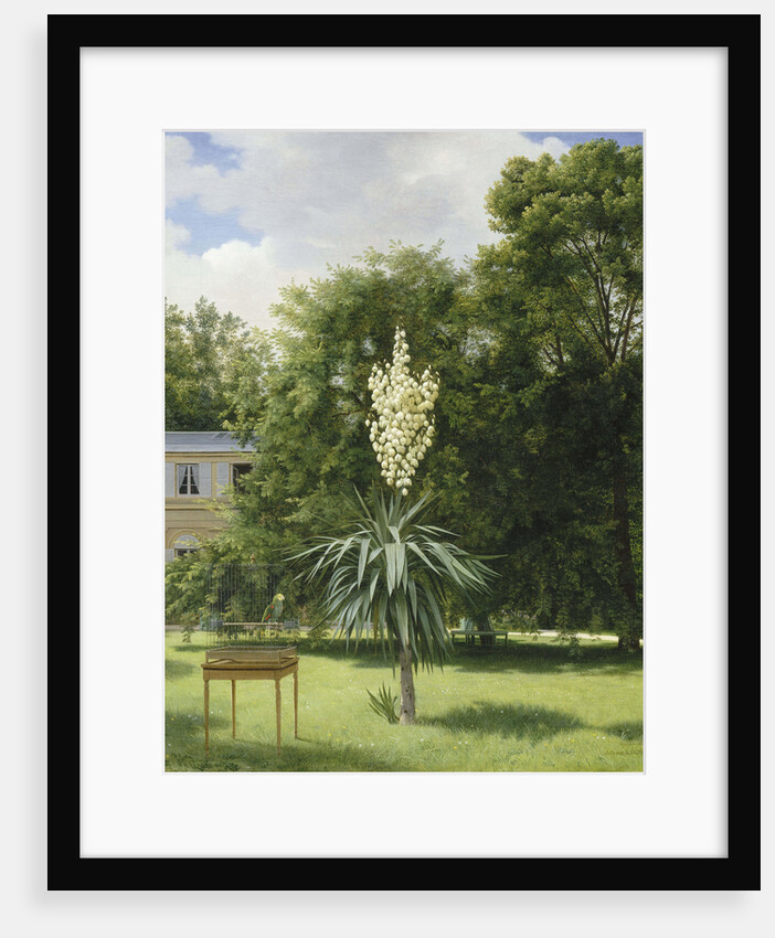 Yucca Gloriosa in the Park at Neuilly, 1845 by Anonymous