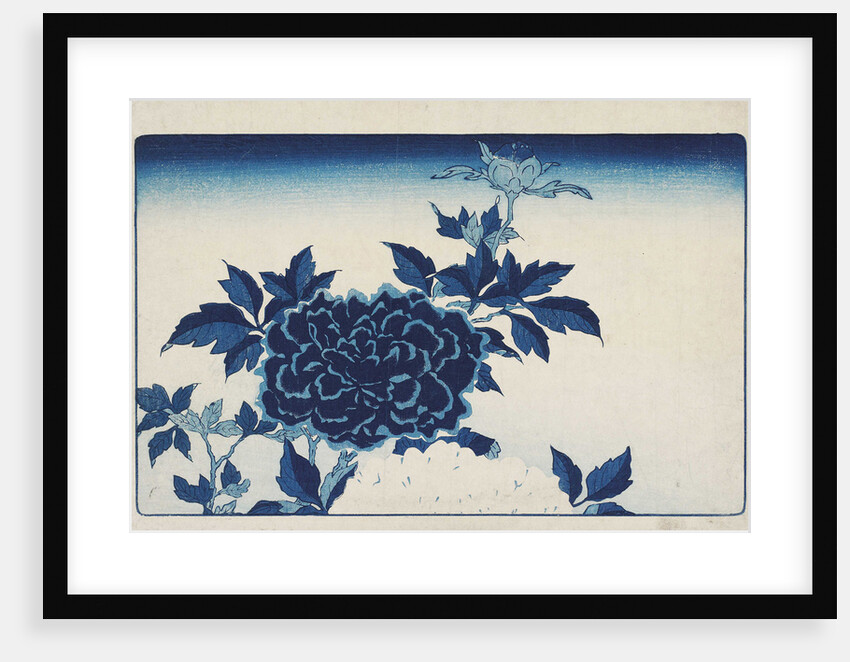 Aizuri-e with flowers, by Anonymous