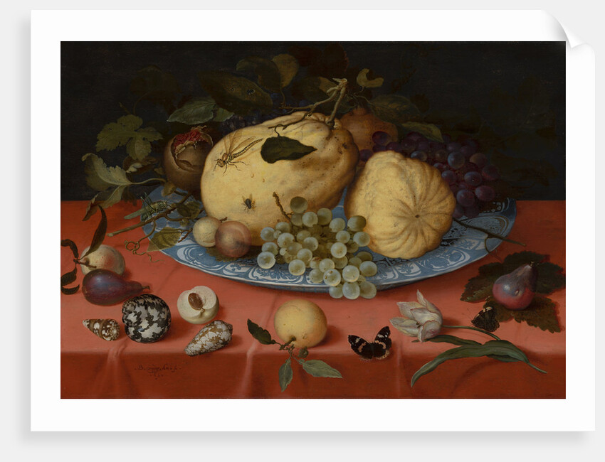 Fruit Still Life with Shells and Tulip, 1620 by Anonymous