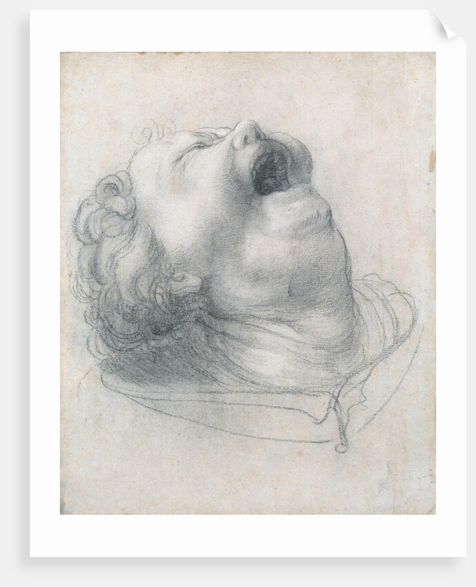 Head of a screaming child, ca 1515-1520 by Anonymous