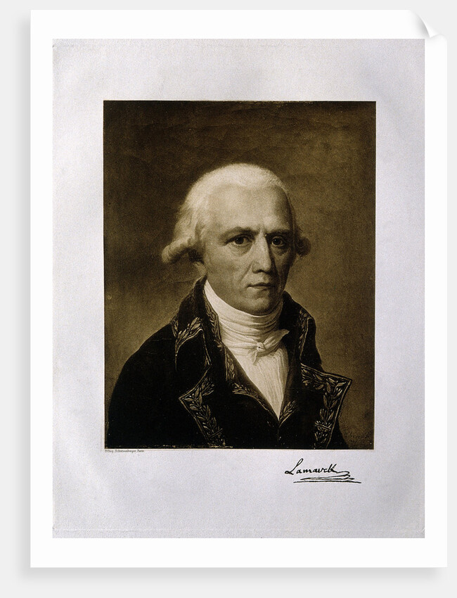 Jean-Baptiste Pierre Antoine de Monet, Chevalier de Lamarck, 1801 by Anonymous