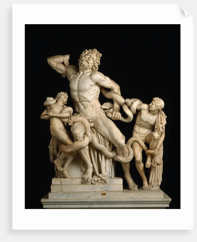 Laocoön and his sons (The Laocoön Group), 1st century BC by Anonymous