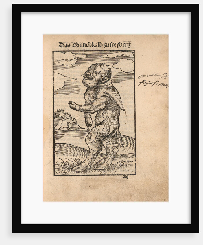 Monk Calf of Freiberg (Das Mönchskalb zu Freiberg), 1523 by Anonymous