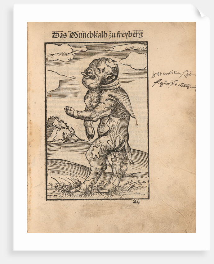 Monk Calf of Freiberg (Das Mönchskalb zu Freiberg), 1523 by Anonymous