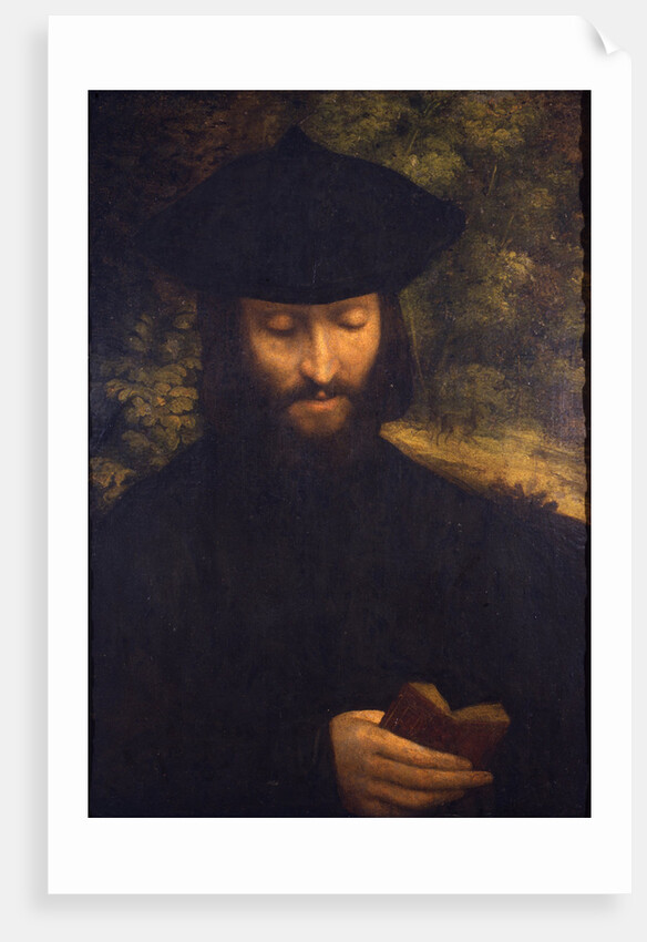 Portrait of a reading man, ca 1522 by Anonymous