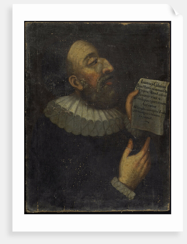 Portrait of John Calvin, 1559 by Anonymous