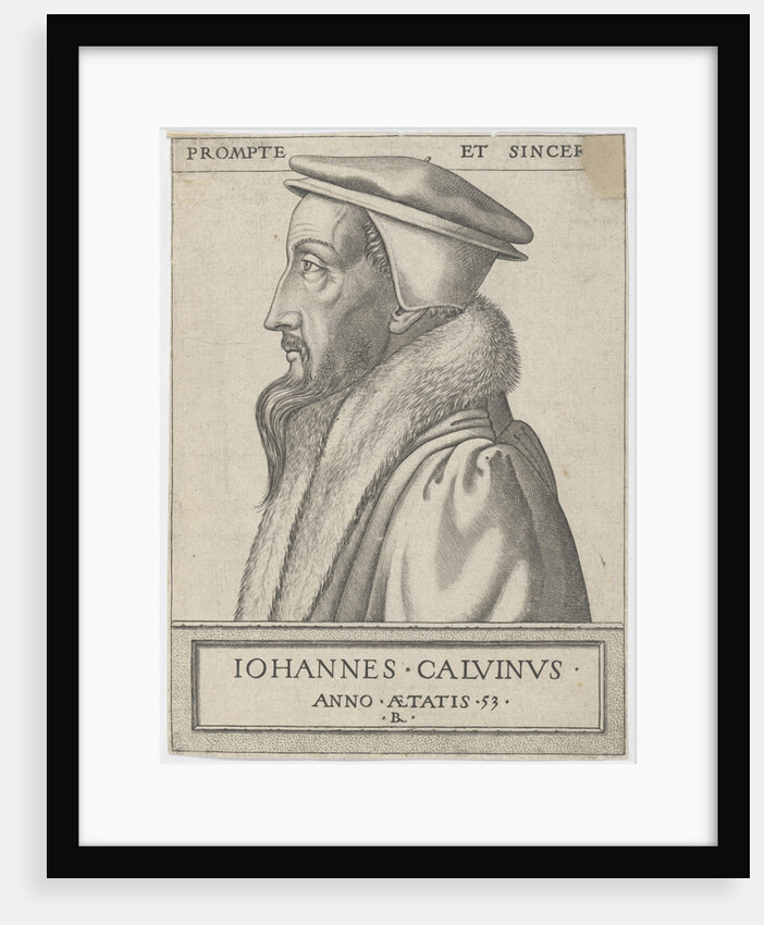Portrait of John Calvin, 1562 by Anonymous