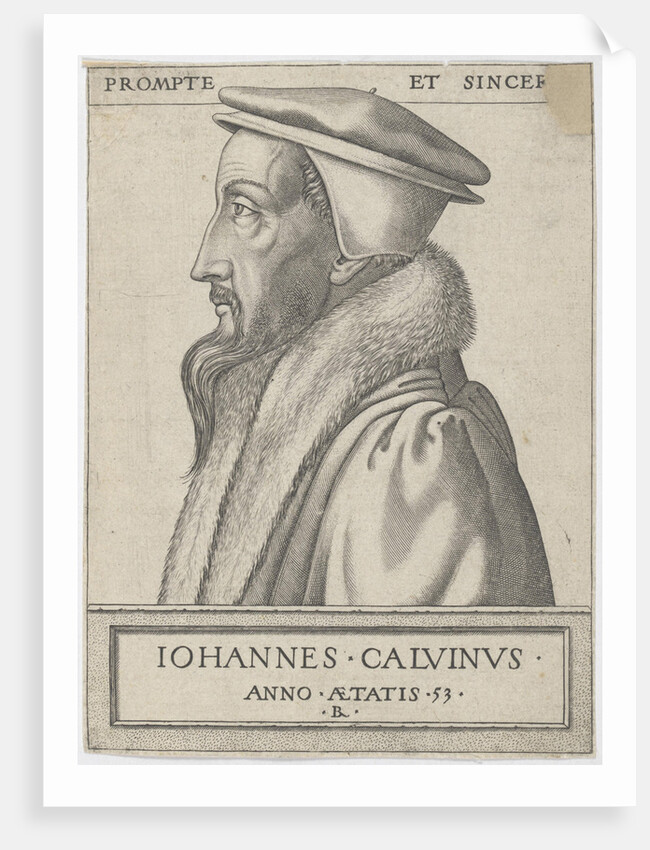 Portrait of John Calvin, 1562 by Anonymous