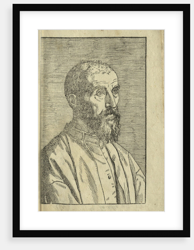 Portrait of Marco Mantova Benavides, 1555 by Anonymous