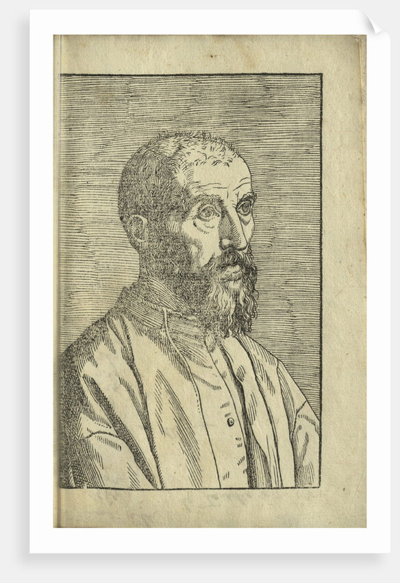 Portrait of Marco Mantova Benavides, 1555 by Anonymous