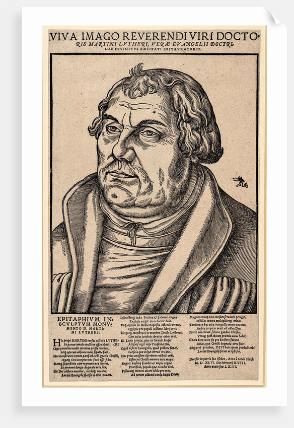 Portrait of Martin Luther, 1546 by Anonymous