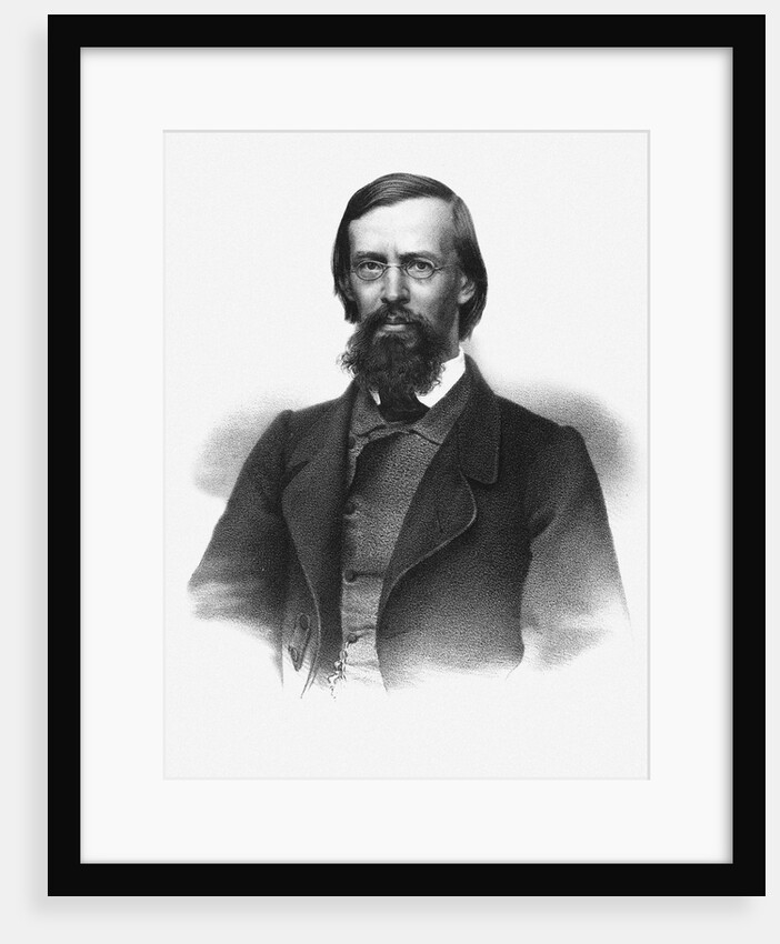 Portrait of the poet Apollon Maykov, 1860s by Anonymous