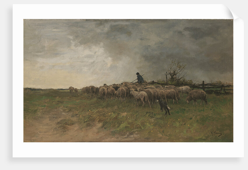 Shepherd with his flock, by Anonymous