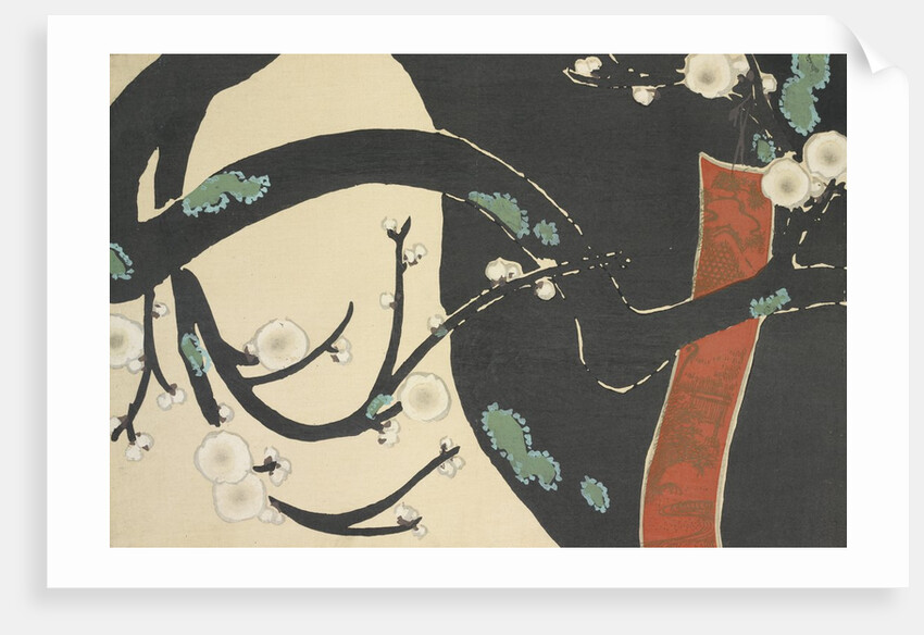 Ume by Anonymous